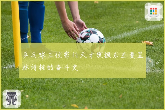 乒乓球三位寒门天才樊振东王曼昱林诗栋的奋斗史