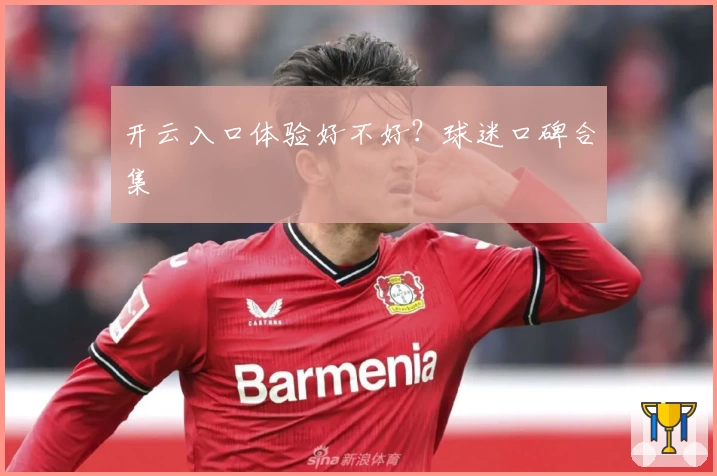 开云入口体验好不好？球迷口碑合集