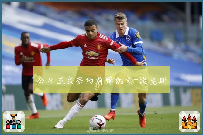 公牛正式签约前锋凯文-诺克斯