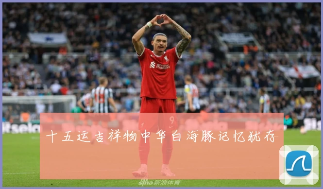 十五运吉祥物中华白海豚记忆犹存