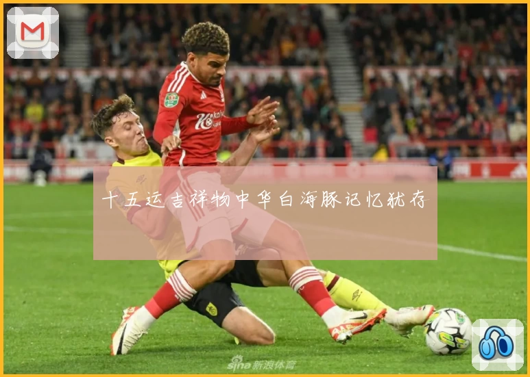 十五运吉祥物中华白海豚记忆犹存