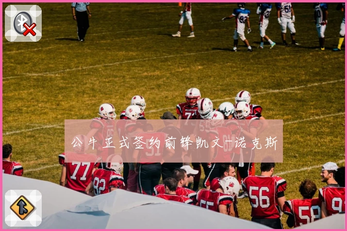 公牛正式签约前锋凯文-诺克斯