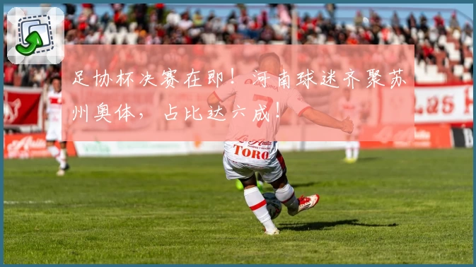 足协杯决赛在即！河南球迷齐聚苏州奥体，占比达六成！